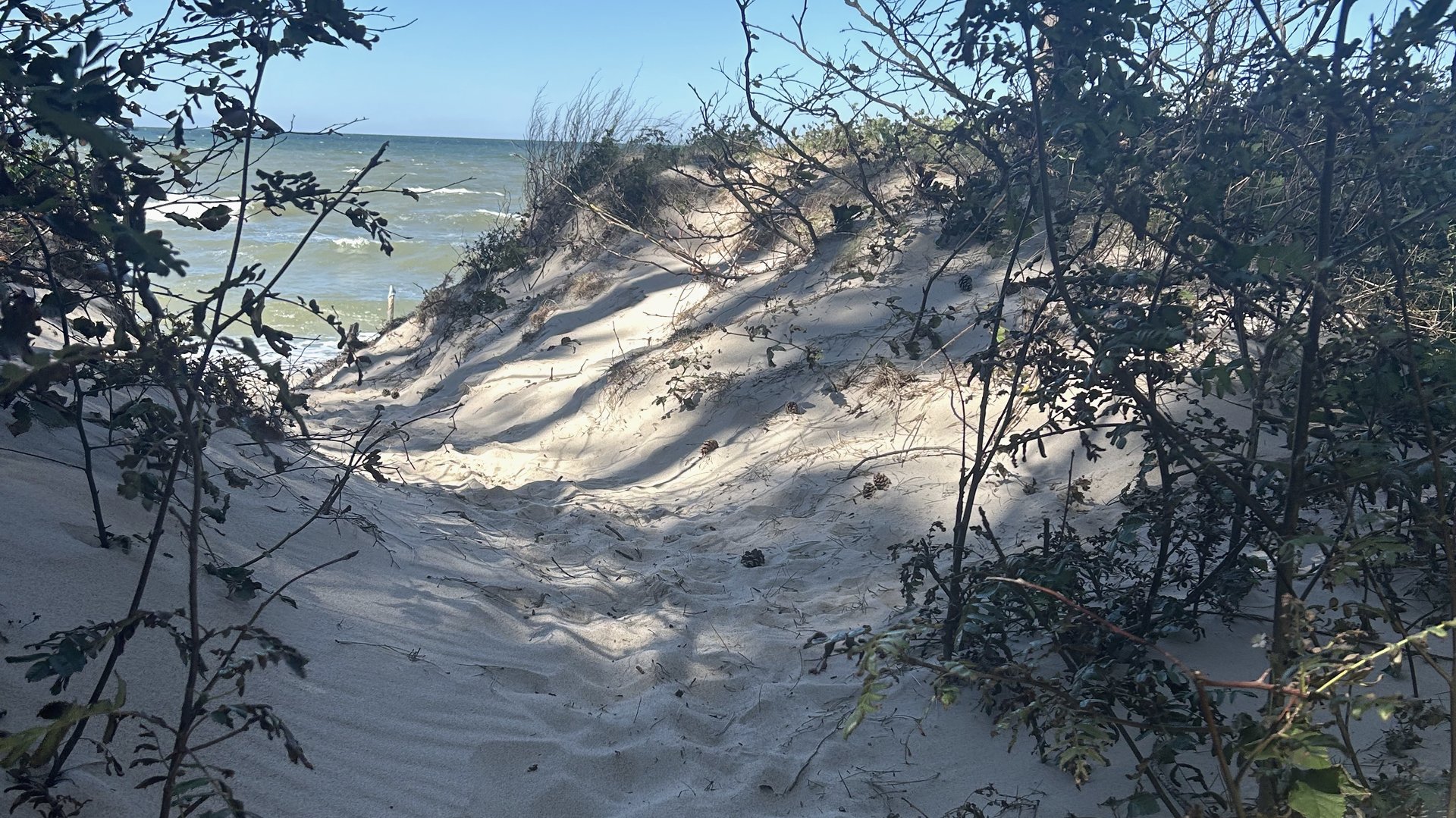 Weg durch die Dünen Richtung Meer